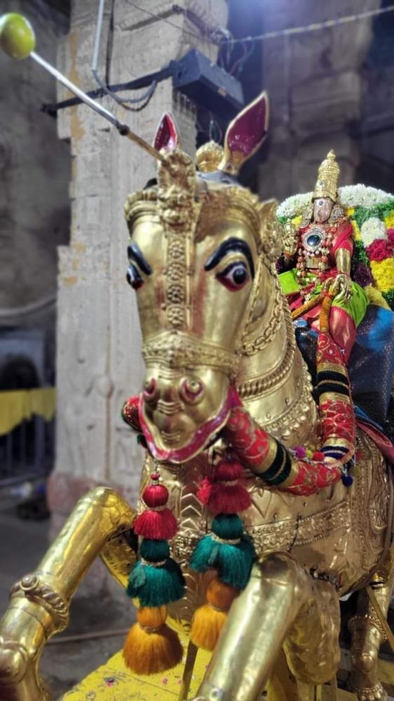 photo-story-19-january-2024